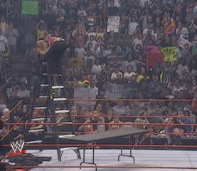 WWE ladder match