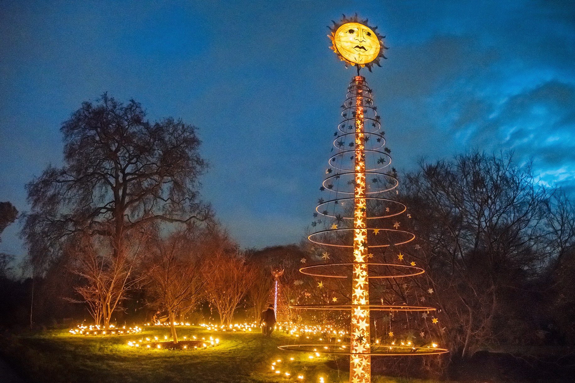 Christmas at Kew 2015