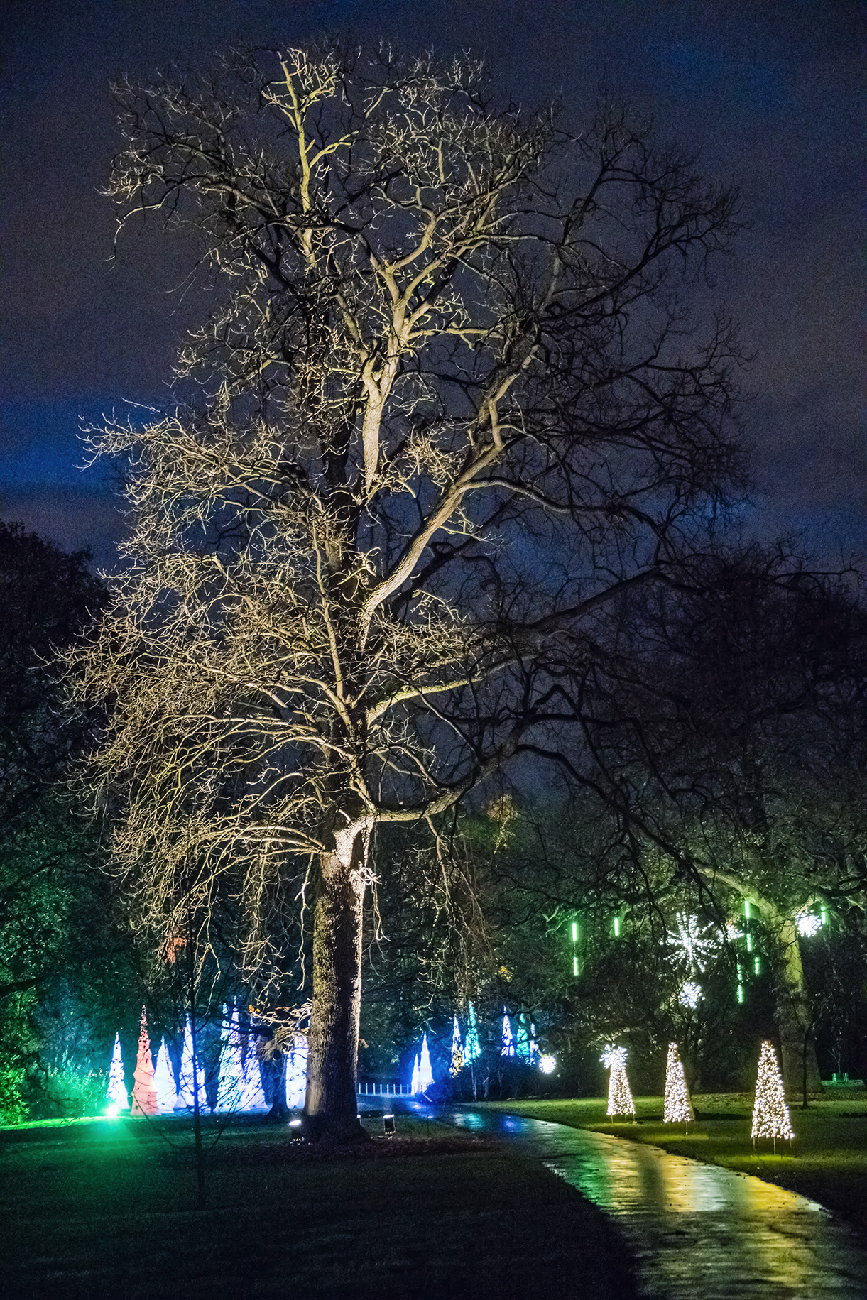 Christmas at Kew 2015