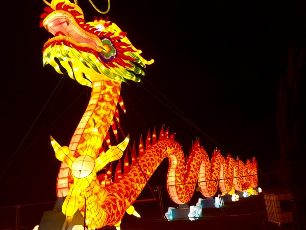 No Chinese Spring Festival is complete without a dragon!