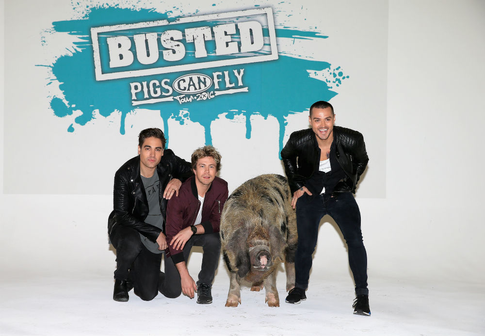 Busted 2016