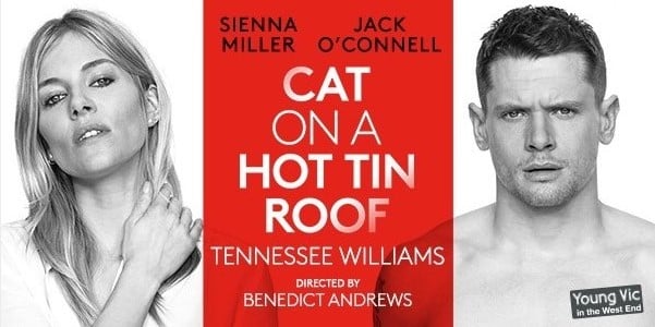 Cat on A Hot Tin Roof