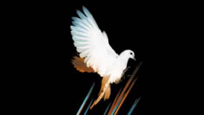 Warehouse Project