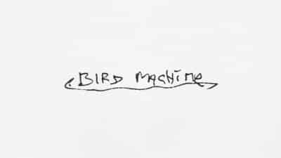 Sparklehorse bird machine