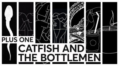 A collage of album and single art from Catfish And The Bottlemen