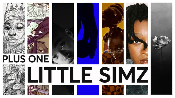 A montage of Little Simz album covers