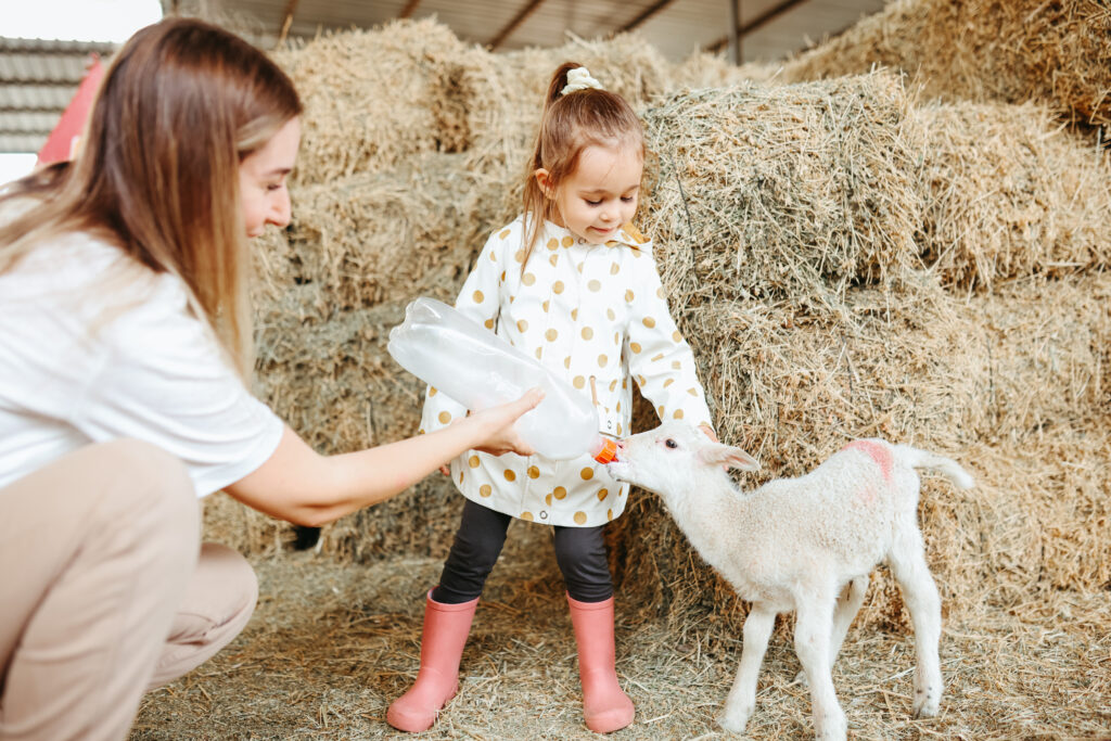 A woman bottle feeds a baby lamb while a young girl strokes the lamb