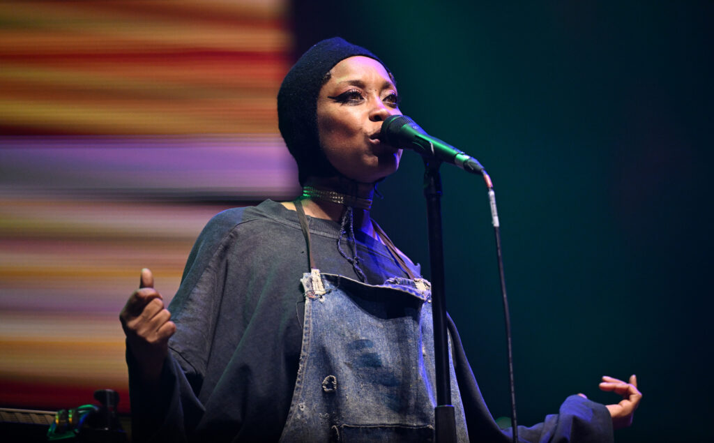 Erykah Badu performs onstage