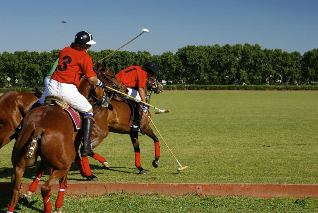 Members of a polo team mid game