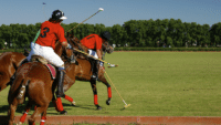 Polo players on horseback