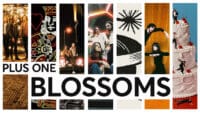 A montage of Blossoms album art