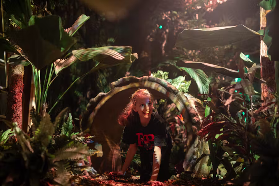 A child crawls through a Peruvian jungle zone at The Ppaddington Bear Experience